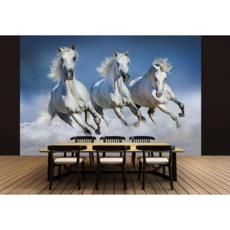 Witte Paarden Fotobehang Paarden behang Gratis verzending